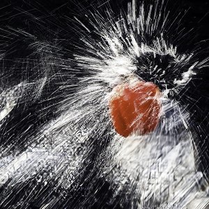 Werner Schuffenhauer